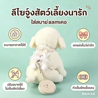 wen.W2 สายจูงสัตว์เลี้ยง กระต่าย สําหรับสัตว์เลี้ยง ขนาดเล็ก