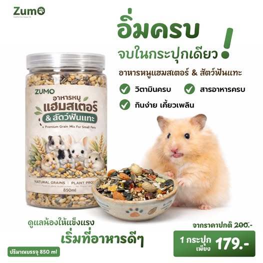 อาหารหนู กระรอก สัตว์ฟันแทะ