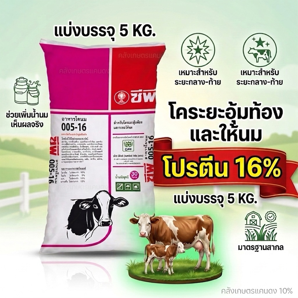 [💥ขายดี ] อาหารวัว แม่พันธุ์-ขุน ซีพี CP005-16 โปรตีน16% CP982 โปรตีน12% บรรจุ 800ก.- 5 กิโลกรัม. รับประกันคุณภาพ100%