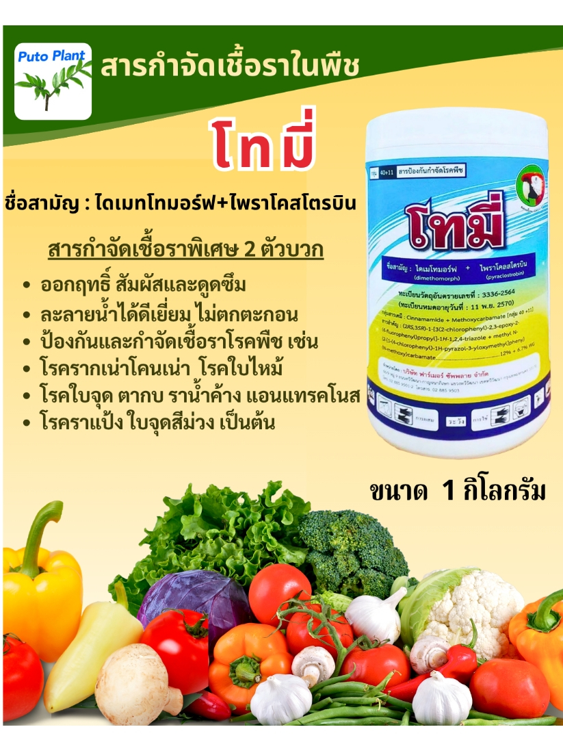 โทมี ขนาด 1 กิโลกรัมสารกำจัดเชื้อรา 2 ตัวบวกสยบเชื้อราพืช กำจัดโรคราน้ำค้าง ใบจุด ใบไหม้ รากเน่าโคนเน่าฉีดพ่นได้ทุกระยะ