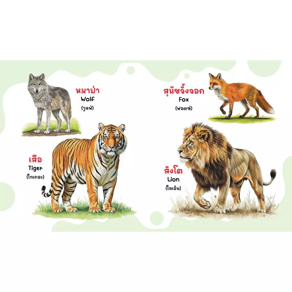์NEW หนังสือ คำศัพท์ 2 ภาษา ไทย-อังกฤษ เรื่มต้นเรียนรู้ก่อนเข้าเรียน thumbnail 4