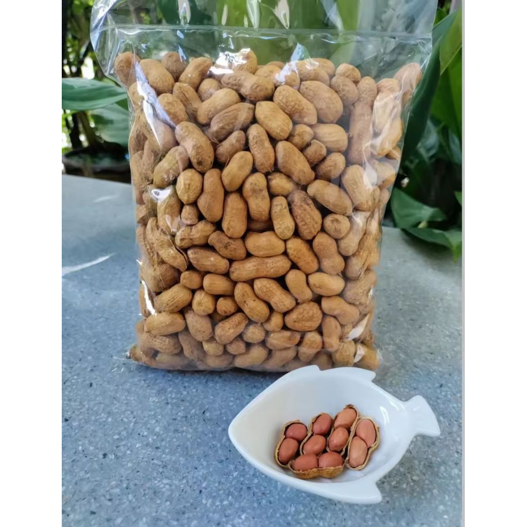 ถั่วคั่วทราย 1-4 ถุงๆละ 450 กรัมแถมฟรี 50 กรัมต่อถุง อร่อย กรอบ หอม ออแกนิค พร้อมส่ง! มีราคาขายส่ง