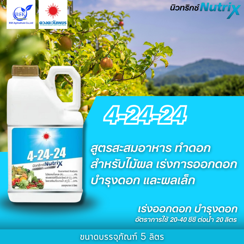 ปุ๋ยน้ำ 4-24-24 แกลลอน 5L (ดวงตะวันเพชร)