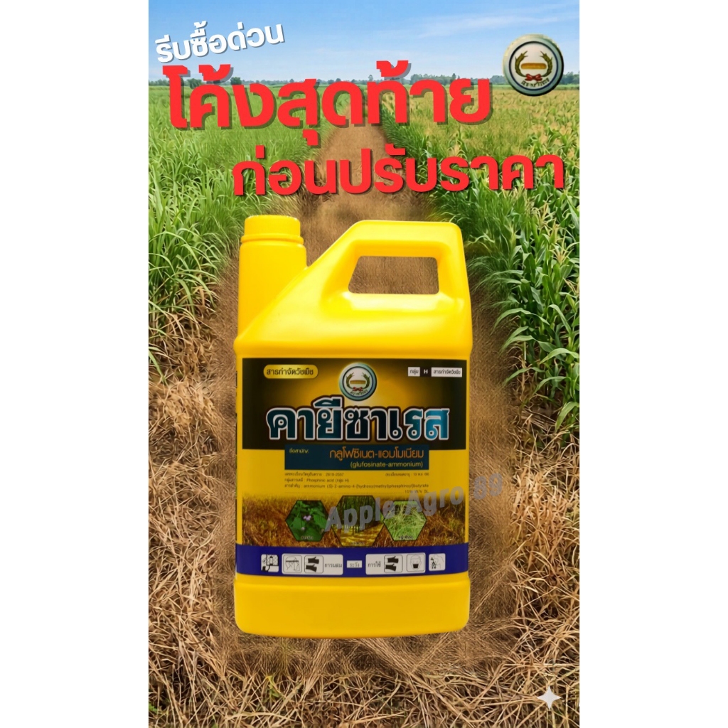 คายีซาเรส หวีทอง ขนาด 4 ลิตร กลูโฟซิเนต-แอมโมเนียม กำจัดวัชพืชใบแคบ-ใบกว้าง กูโฟซิเนต คายีซาเรสยกลัง มาคายียกลัง มาคายี
