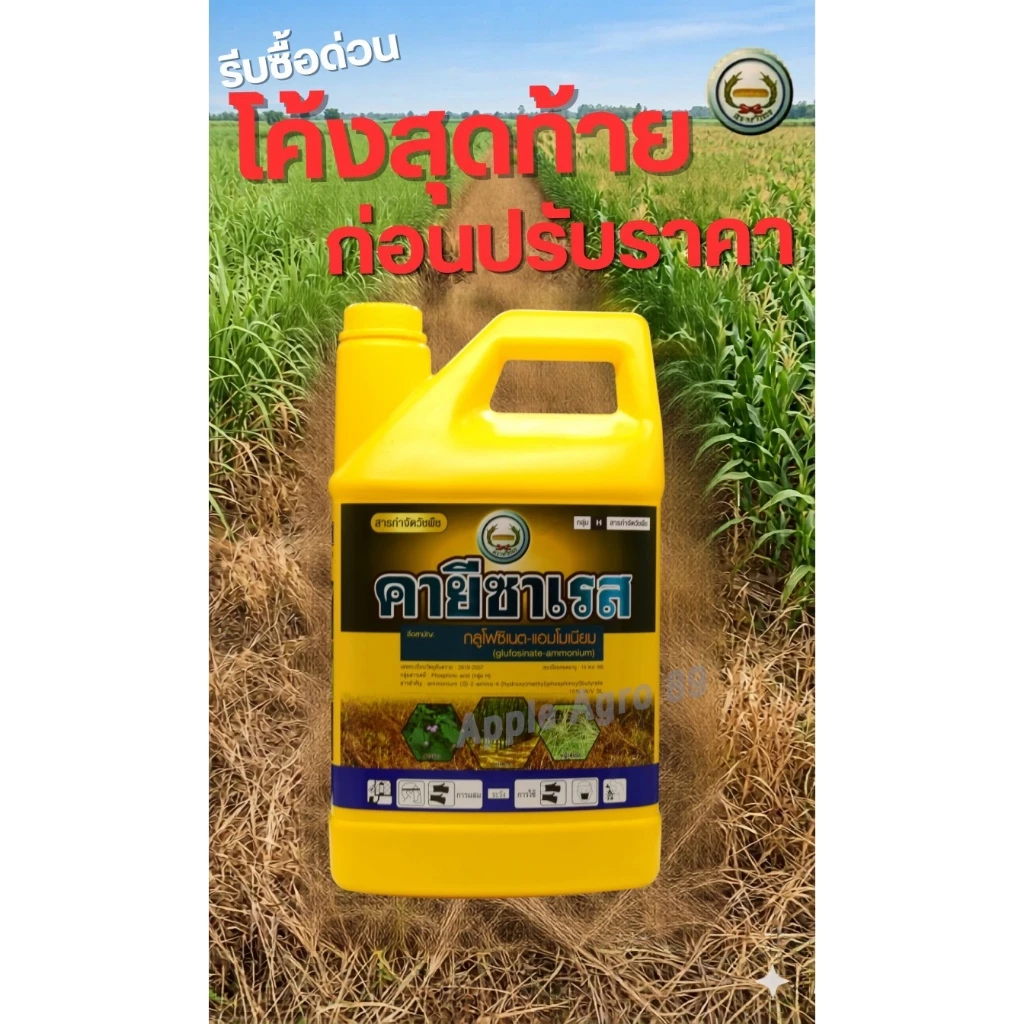 คายีซาเรส หวีทอง ขนาด 4 ลิตร กลูโฟซิเนต-แอมโมเนียม กำจัดวัชพืชใบแคบ-ใบกว้าง กูโฟซิเนต คายีซาเรสยกลัง มาคายียกลัง มาคายี