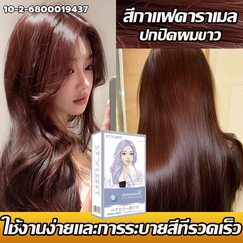 STYLE FIT ครีมย้อมผม