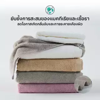 [ผืนใหญ่] HYGITEX ผ้าขนหนู ผ้าเช็ดตัว ยับยั้งเชื้อแบคทีเรีย COMFORT TOWEL CBH ANTI-BACTERIA SIZE 70x140 Cm