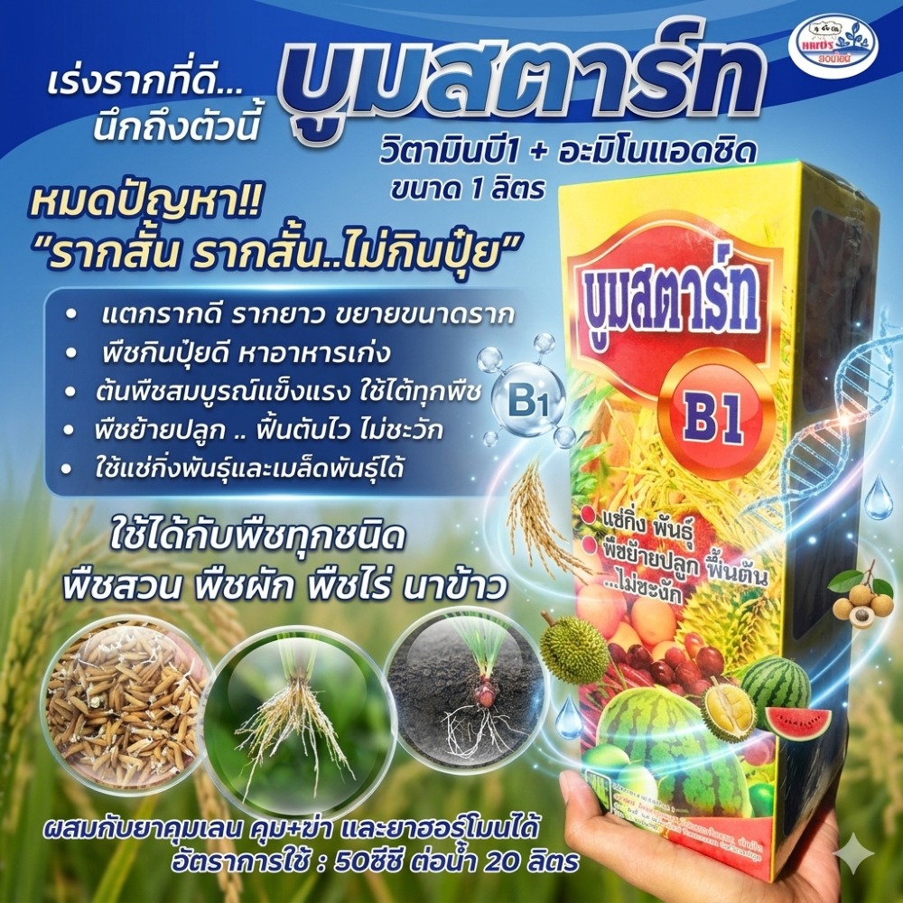 บูมสตาร์ท 1ลิตร สูตรพรีเมี่ยม น้ำยาเร่งราก บี1+อมิโนแอซิด สร้างภูมิต้านทาน เร่งราก ป้องกันกำจัดโรคพืช ผสมยาอื่นได้