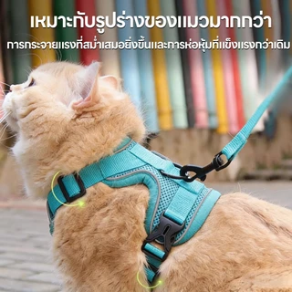 จัดส่งทันที เสื้อรัดอกพร้อมสายจูง เสื้อรัดอกสัตว์เลี้ยง สายจูงสุนัข หมา แมว มีแถบสะท้อน ทนทาน