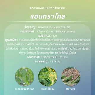 แอนทราโคล (โพรพิเนบ 70% WP) 1 กิโลกรัม