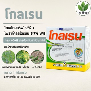 โกลเรน (ไดเมโทมอร์ฟ 12% + ไพราโคลสโตรบิน 6.7% WG) 1 กิโลกรัม