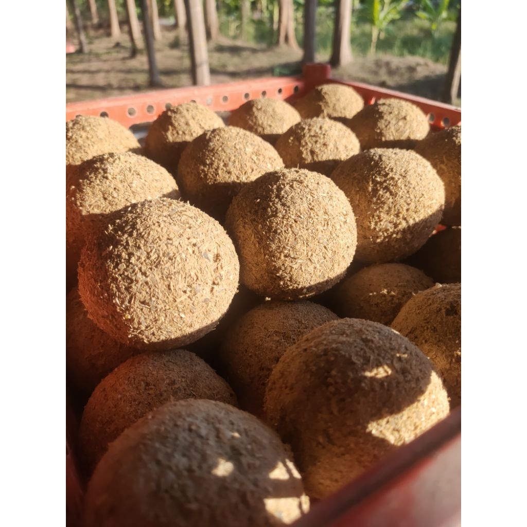 EM BALL (อีเอ็มบอลแท้) / จุลินทรีย์เข้มข้น / ใช้บำบัดน้ำเสียได้จริง “EMIX Ball บำบัดน้ำ บำรุงดิน"