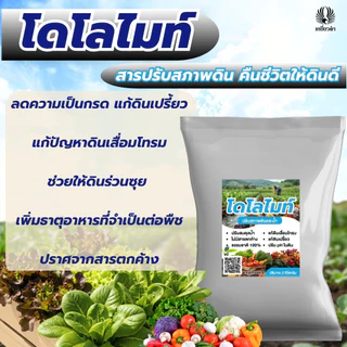 โดโลไมท์ผง 1ถุง ขนาด 2 กก. สารปรับสภาพดิน สารปรับสภาพดน้ำ ปรับ pH ดินและน้ำ บำรุงราก ตราเหยี่ยวดำ