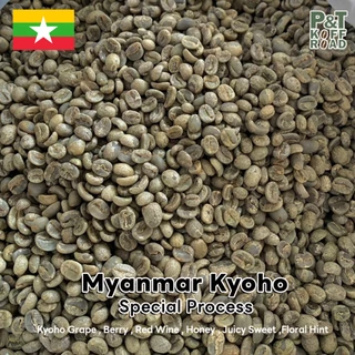 เมล็ดกาแฟดิบ Myanmar Kyoho : Green Bean Myanmar . Special Process บรรจุ 500g. - 1 kg. P&T KoffRoad