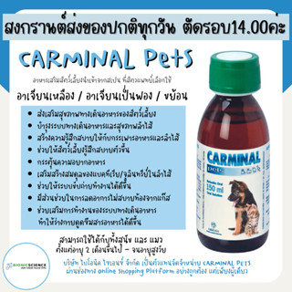 โค้ดลดทักแชท* ระบบทางเดินอาหาร สัตว์เลี้ยง อาเจียน เหลือง ฟอ…