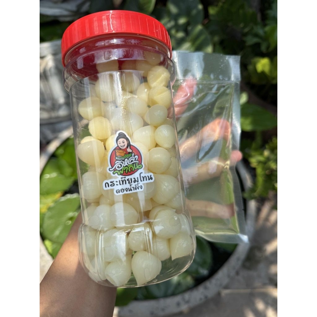 กระเทียมเนื้อน้ำ กระปุกละ 179฿ ดองเข้าเนื้อ หวานพอดี