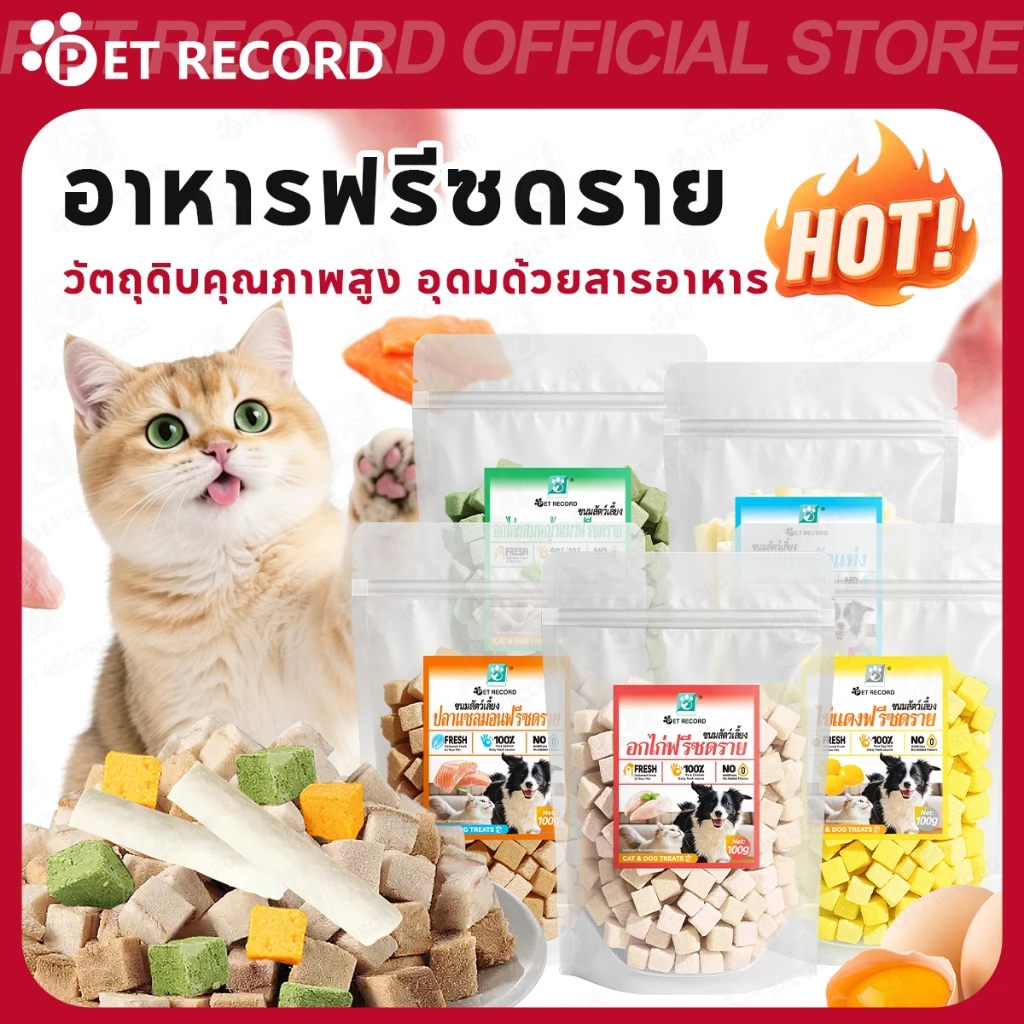 【PET RECORD】🔥 บ้านแมวต้นไม้ 2/3 ชั้น คอนโดแมว ที่ลับเล็บ ที่นอนแมว พับได้ พร้อมของเล่น