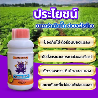 ชุด 3 พลัง รวมชุดใหญ่ขายดี ผงดำเทพสถิตย์ 5 กรัม + ยาคาร่าวัคซีนพืช 3 in 1 500 มล. + คิวบั๊ก 500 มล.