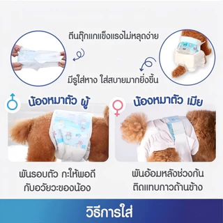 สุนัขเพศผู้ สุนัขเพศเมีย XXS-XL ผ้าอ้อมน้องหมา (12-36ชิ้น) มีหลายขนาดให้เลือก ผ้าอ้อมสุนัข เพศเมีย ผ้าอ้อมสัตว์เลี้ยง