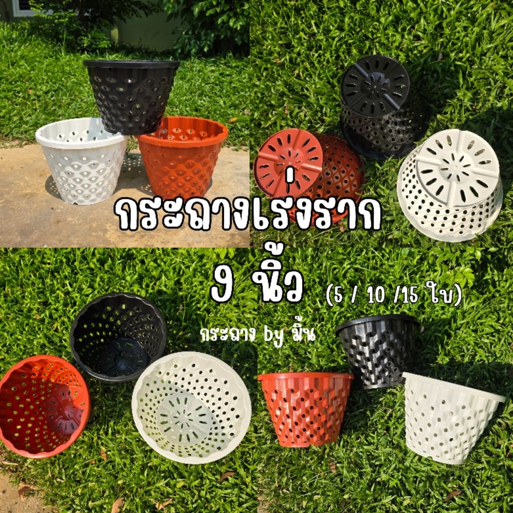 [5/10/15ใบ] กระถางเร่งราก 9 นิ้ว / กระถาง Air Pot ราคาปลีก-ส่ง