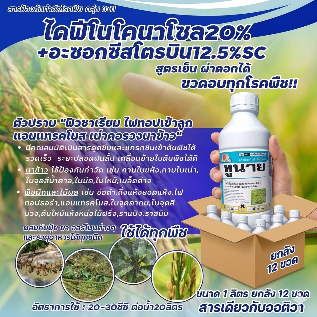 ไดฟีโนโคนาโซล+อะซอกซีสโตรบิน ทูนาย (ยกลัง 12 ขวด ) ขนาด 1 ลิตร – สารเดียวกับ ออติวา กาบใบแห้ง เน่าคอรวง ใบติด ใบจุด