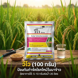 ไตรไซคลาโซล75%WP วีโว่ ขนาด100กรัม ปราบเชื้อราในนาข้าว กาบใบแห้ง ใบไหม้ ใบจุดสีน้ำตาล คอรวงแห้ง