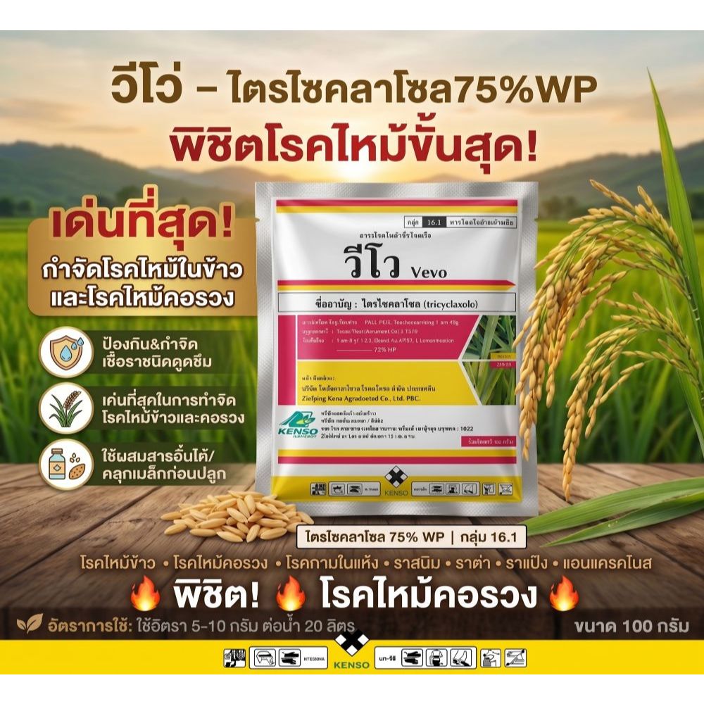 ไตรไซคลาโซล75%WP วีโว่ ขนาด100กรัม ปราบเชื้อราในนาข้าว กาบใบแห้ง ใบไหม้ ใบจุดสีน้ำตาล คอรวงแห้ง