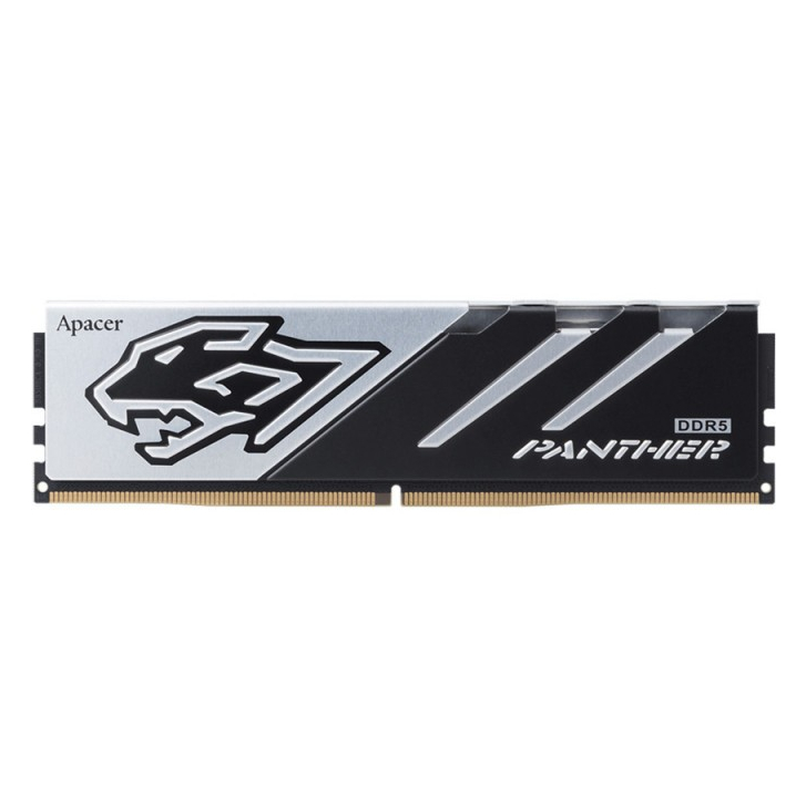 16GB (16x1) DDR5 6000MHz RAM (แรมพีซี) APACER PANTHER (AH5U16G60C6229BAA-1)