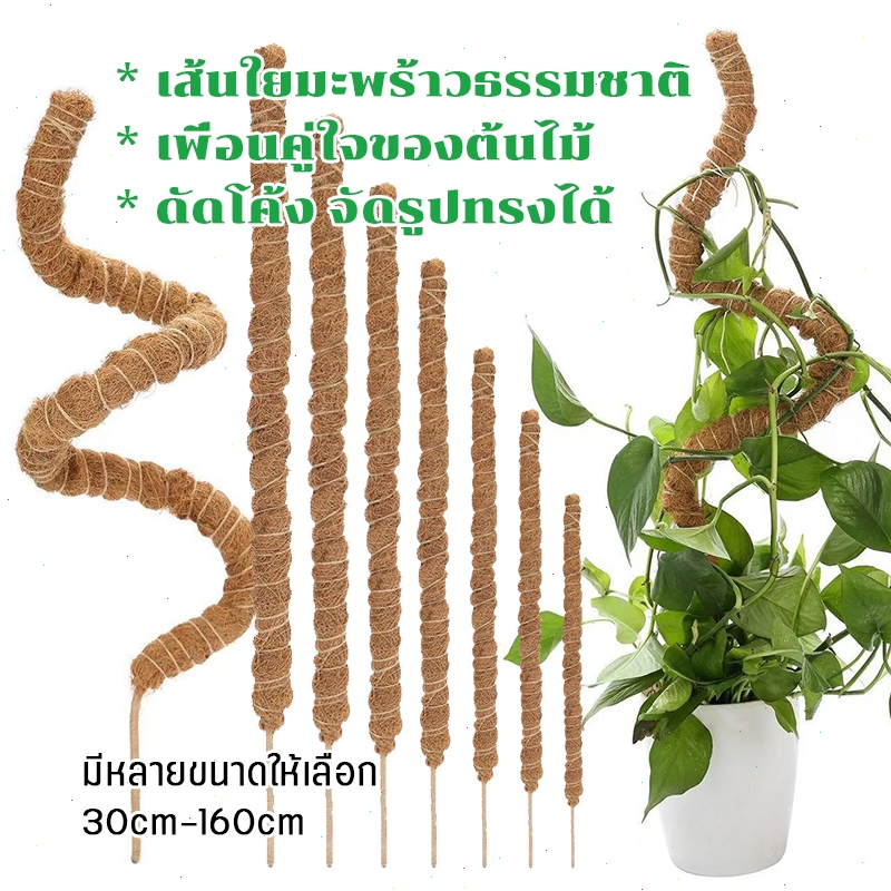 เสาไม้เลื้อยใยมะพร้าว 30-160ซม เสามอส ดัดงอได้ ต่อความสูงได้ แข็งแรง ไม่ผุ เหมาะกับไม้เลื้อย