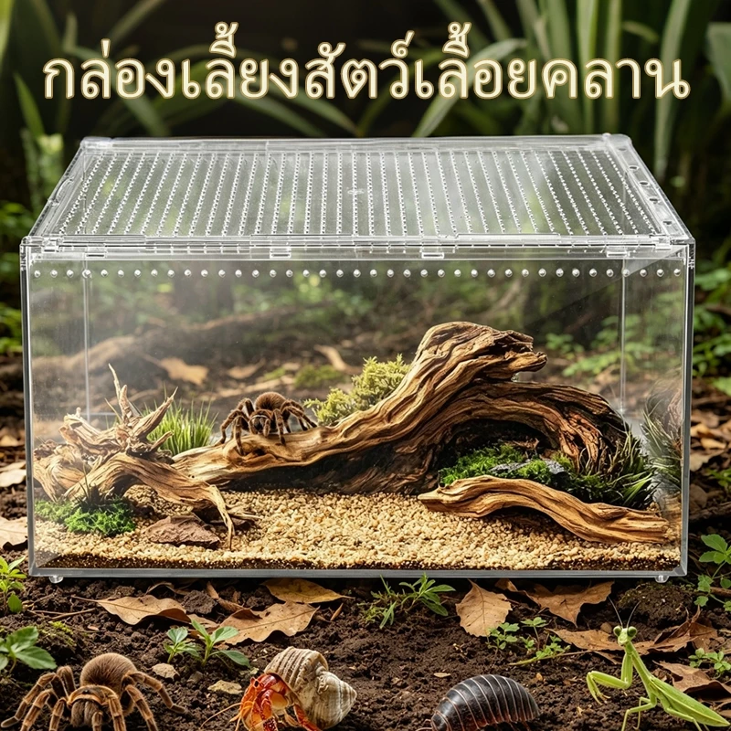 กล่องเลี้ยงสัตว์เลื้อยคลาน วัสดุอะคริลิก ตู้สัตว์เลี้ยง การสังเกตที่โปร่งใส 360องศา