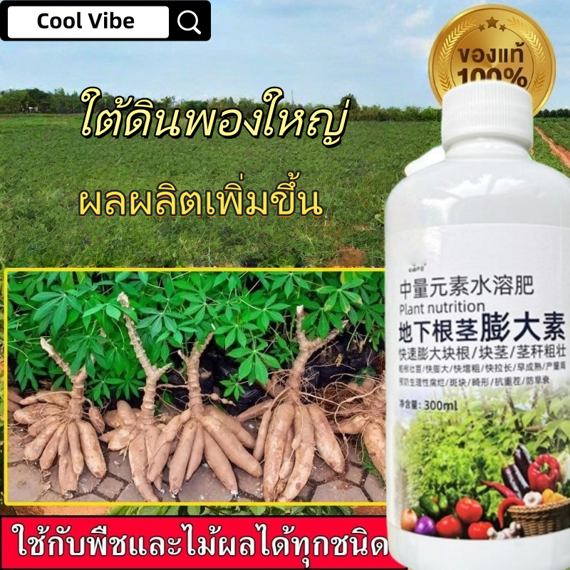สูตรเร่งรากตัดแข็งแรง เพิ่มหัว สเปรย์โตเร็ว ปุ๋ยมันสําปะหลัง ปุ๋ยดอกไม้ พ่นพื้นที่ได้ ​​ครั้งละ 5 ลูก มันสําปะหลังโฮ