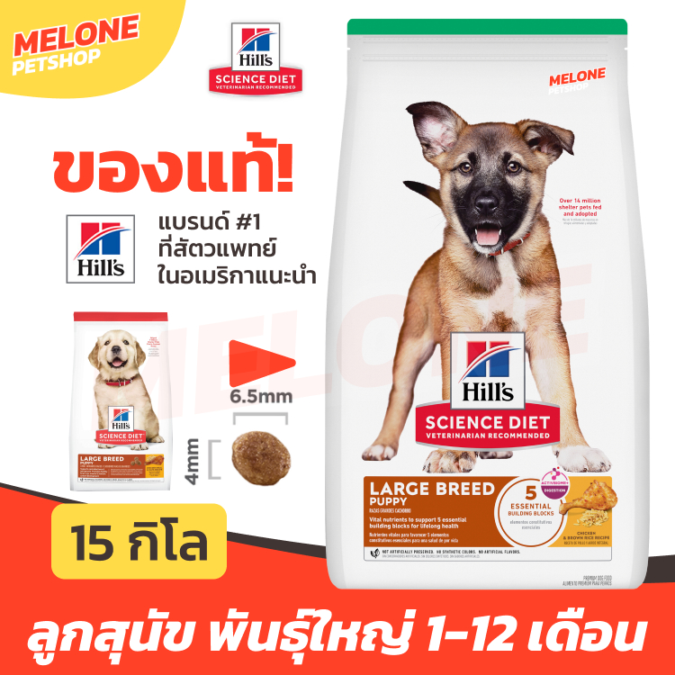 Hill's อาหารลูกสุนัข ฮิลส์ สูตร Science Diet Puppy Large Breed ลูกสุนัข สุนัขเด็ก พันธ์ุใหญ่ อายุไม่เกิน 1 ขวบ 15 kg