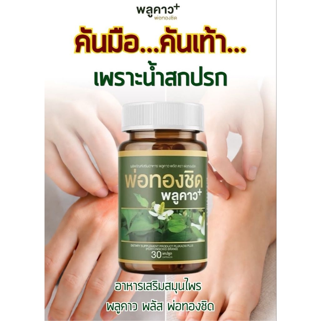 (1 กระปุก) พลูคาว พ่อทองชิด สมุนไพรแท้ 100%