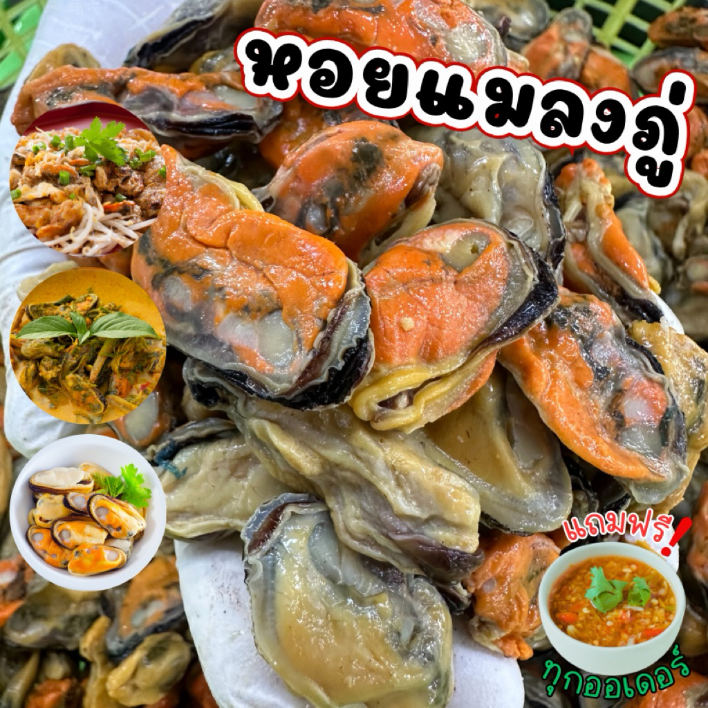 หอยแมลงภู่ต้มพร้อมทาน ฟรีน้ำจิ้ม‼️ หอยตัวใหญ่ แน่น  สด สะอาด ไม่คาว พร้อมส่งทั่วไทย🛺