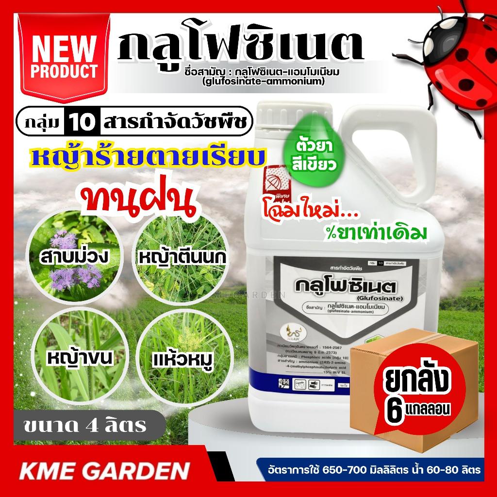 [C] [ตัวเลือกยกลัง6แกลลอน] NAAK *โฉมใหม่% ยาเท่าเดิม* กลูโฟซิเนต4ลิตร กระติกม่วง  ยาฉีดหญ้า ทนฝน กำจัดหญ้า