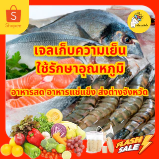 [ยกแพ็ค] เจลเก็บความเย็น ice pack เจลแช่เย็น ขนาด 30-1000 กรัม