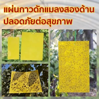 100 ชิ้น แผ่นสติกเกอร์ดักจับแมลง สองด้าน สําหรับกันยุง พืชในสวน ดักแมลงศัตรูพืช กาวดักแมลงวันทอง