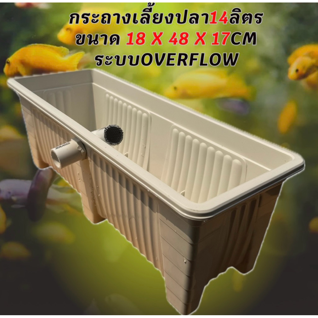 กระถางเลี้ยงปลามินิ 14 ลิตร ระบบoverflow ขาวท่อขาว อ่างเลี้ยงปลา กรองตู้ปลา อ่างปลาบอลลูน อ่างปลาหาง