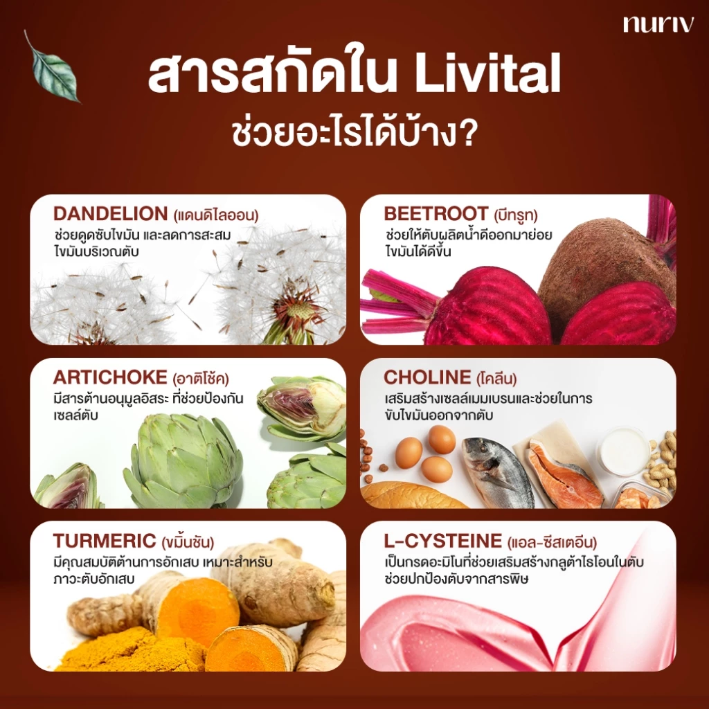 Nuriv Livital 30 Capsules นูรีฟ ลิไวทอล 30 แคปซูล thumbnail 4