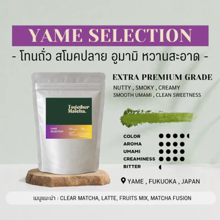 มัทฉะโทนถั่ว YAME MATCHA 🥜 SELECTION | EXTRA PREMIUM | FOR LATTE | PREMIUM PLUS | PREMIUM | มัทฉะจากยาเมะTogether Matcha