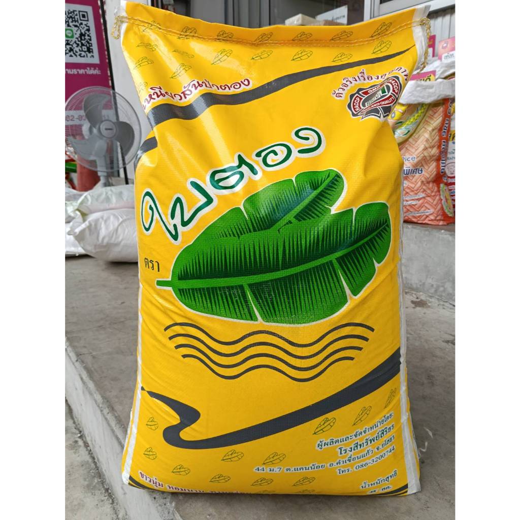 ข้าวเหนียวสันป่าตอง ตราใบตอง ข้าวเหนียวใหม่ ขาว นุ่ม อร่อย 45 กก.