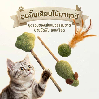 Tha.th catnip แคทนิปอมยิ้มเสียบไม้มาทาบิสมุนไพรแมวฟินแคทนิปแมวกัญชาแมว(ของเล่นแมว)​ Catnip Toy XJ