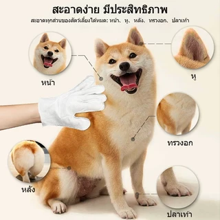 ถุงมือเช็ดสัตว์เลี้ยง กำจัดกลิ่นเหม็นทำความสะอาดลึก ไม่ระคายเคืองผิว ไม่ต้องล้างน้ำ ปราศจากแอลกอฮอล์ เลียปลอดภัย COD