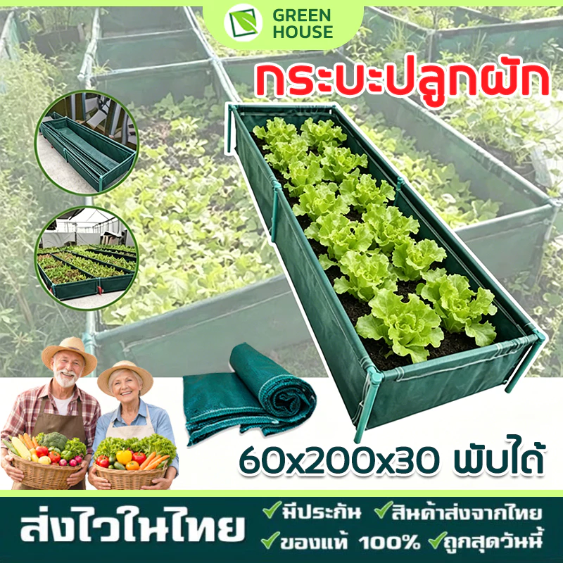 กะบะปลูกผักสำเร็จรูป กระบะปลูกผัก ถาดปลูกผักประกอบง่าย พร้อมโครงPVC ขนาด​ 60x200x30 cmกะบะเพาะปลูก