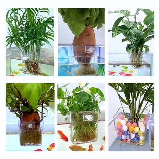 【PetZap】 พร้อมส่ง COD ตะกร้าปลูกพืชน้ำ กระถางตาข่ายปลูกไม้น้ำแบบแขวน ที่วางต้นไม้ตู้ปลา ไฮโดรโปนิกส์ ทนทาน ดีมาก