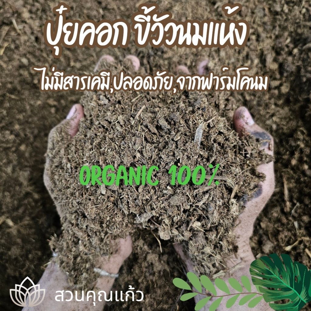 ขี้วัวนมแห้ง 900 กรัม ปุ๋ยคอก ปุ๋ยธรรมชาติขี้วัว มูลโคนม ปุ๋ยธรรมชาติ ราคาถูก