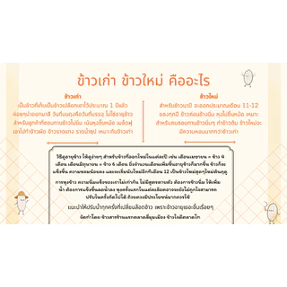 ข้าวใหม่ พร้อมส่ง ข้าวไดโนเสาร์ ของแท้ ข้าวหอมมะลิแท้ 100% 15 กก. 49 กก.ข้าวใหม่