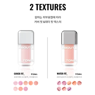 [About Tone] SKIN LAYER FIT BLUSHER