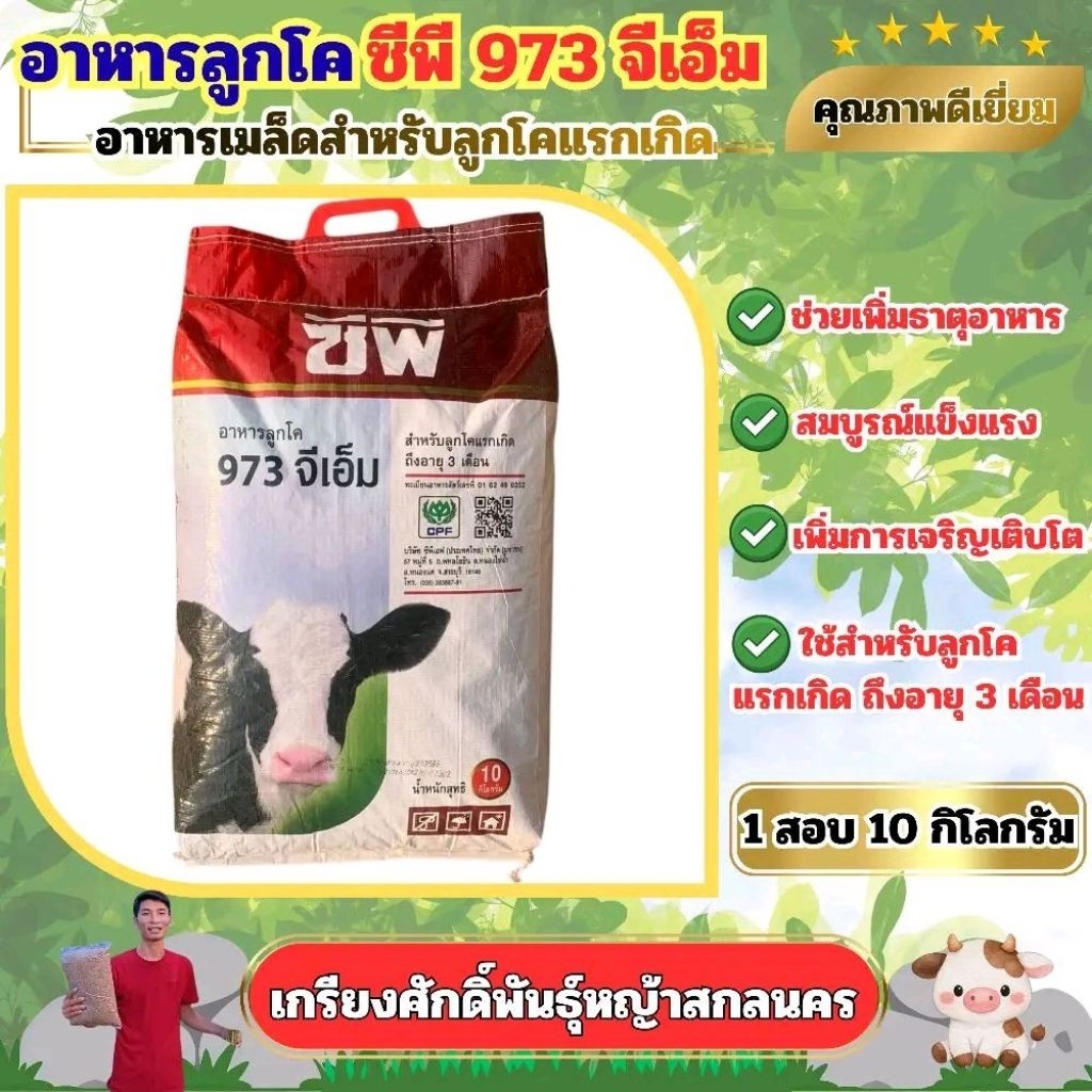 ซีพี 973 จีเอ็ม 1 กระสอบ 10 kg. สำหรับลูกโคแรกเกิด ถึงอายุ 3 เดือน #อาหารวัวซีพีวัวแรกเกิด #เกรียงศักดิ์พันธุ์หญ้าสกลนคร