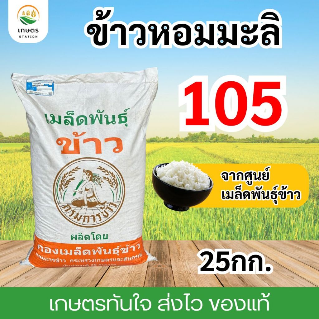เมล็ดพันธุ์ข้าว มะลิ105 ปี69 พันธุ์ขยาย ข้าวหอมมะลิ จากศูนย์เมล็ดพันธุ์ข้าว กรมการข้าว 25กิโล